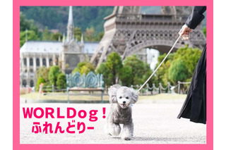 栃木・東武ワールドスクウェア、愛犬とリード入園できる「WORLDog！ふれんどりー」スタート 画像