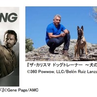 J:COM、米FOXのVODサービス「FOX PLAY」を日本で独占提供 画像