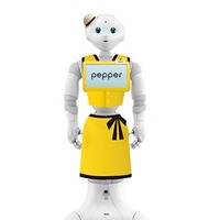 渋谷ロフト・横浜ロフト、ビューティアドバイザーとして「Pepper」導入 画像