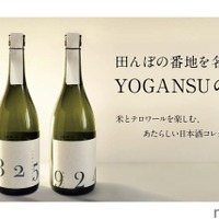 行列ができる道の駅ならではの日本酒！？「KAWABASAMI8259」発売