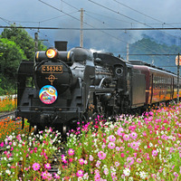 ガリガリ君と秩父鉄道が10回目コラボイベント開催！SL運行やアイスバープレゼントなど 画像