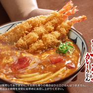 丸亀製麺、松岡昌宏と共同開発した「海老カツトマたまカレーうどん」21日より販売！