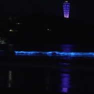 片瀬海岸西浜の夜光虫動画が話題！新江ノ島水族館公式がSNSに投稿