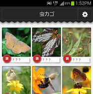 虫の写真を撮るだけで名前や特徴がわかる?!……Androidアプリ『虫判定器』