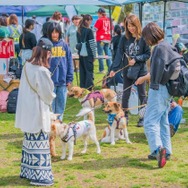 たくさんの保護犬と出会えるイベント「ワンボナ2025」が8日に臨港パークにて開催！