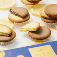 ゴディバ、「瀬戸内レモンラングドシャクッキー」など夏季限定の焼き菓子を21日より販売