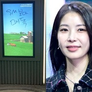 「梅毒」「エイズ」…歌手BoAを標的にした“リアル落書き”がソウルで散見、ファンが除去に乗り出すも混乱続く