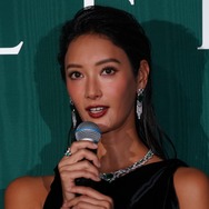 菜々緒、今後の抱負は「ジュエリーのように磨きをかけて・・・」　宮澤エマ・吉田羊らとドレスアップ姿を披露
