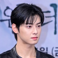 「逃げるために入隊した？」200億ウォン脱税疑惑で揺れるチャウヌ　国税庁の沈黙が“特別扱い説”を呼ぶ事態に