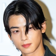 懲役刑の可能性も浮上でイメージ完全崩壊…チャウヌ親子が20億円脱税疑惑で「裏切り者」と呼ばれる理由