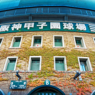 春のセンバツ甲子園2026、出場校32校が決定！初出場は帝京長岡・高知農