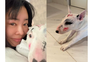 愛犬への“落書き”に「動物虐待」「正気かよ」とドン引きの声も…韓国女性歌手のSNS投稿が物議 画像