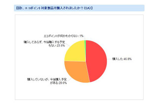 4月の改正エコポイントが購買の原動力に――カカクコム調査から 画像