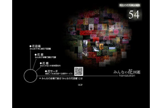 NTT、「みんなの花図鑑」β版を開始 ～ 携帯電話撮影で花の名前が分かるサービスも 画像