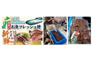 イオン、函館の朝獲れ鮮魚を新幹線配送！首都圏4店舗で2日間販売 画像