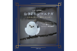 シマエナガ写真と12星座占いが一冊に、主婦の友社が11月2日発売 画像
