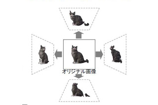 富士フイルム、撮影した3D画像から被写体のサイズが計測できるシステムを開発 画像