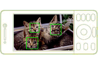 パナソニックシステムネットワークス、「鳥の顔」にも対応するペット認識機能を開発 画像