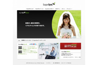 クラウド型のデータバックアップ・同期サービス「SugarSync」、日本版が本格スタート 画像