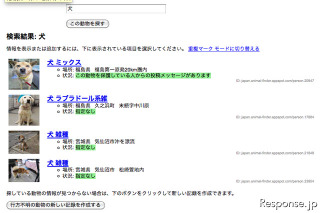 【地震】Google、アニマルファインダーを提供開始 画像