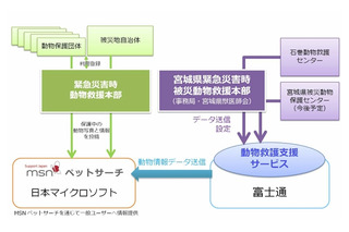 【地震】日本マイクロソフトと富士通、被災ペットの情報公開でシステム連携 画像