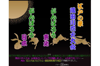 隅田川花火大会は本日19時5分から予定通り開催！ プログラム＆見どころは？  画像