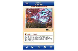 ウェザーニューズ、「紅葉ch.」をスタート！ 画像