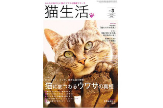 【本日発売の雑誌】猫にまつわるウワサの真相……「猫生活」 画像