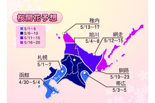 都心の桜が今週末開花、来週末には満開に！……ウェザーニューズ、第四回開花予想発表 画像