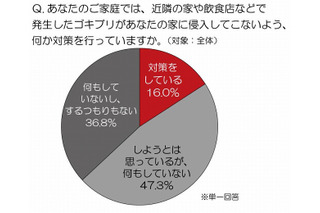 屋外で発生したゴキブリが自宅に侵入……“もらいゴキ”、対策できている人は16％ 画像