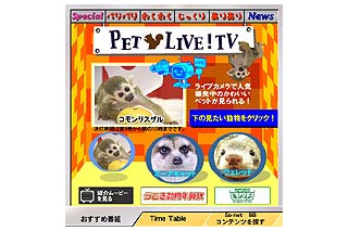 かわいい動物たちの様子をSo-net TVがライブ配信〜ミーアキャット、フェレット、コモンリスザル、etc. 画像