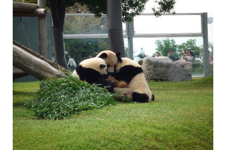 行ってよかった動物園＆水族館ランキング、王者「旭山動物園」が2位降格！1位は!? 画像