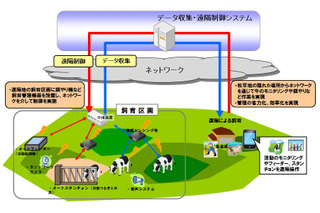 NTT西日本と九大、ICTを活用した牛放牧における遠隔地管理システムを共同研究 画像