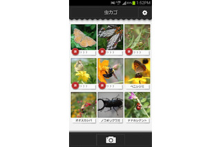 虫の写真を撮るだけで名前や特徴がわかる?!……Androidアプリ『虫判定器』 画像