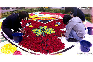 【夏休み】花びらを使って「夢のクルマ」を作ろう 画像