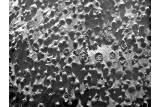 ミッション最大の謎……火星で発見された粒子 画像