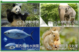 都立動物園・水族園「Visit　ほっと　Zoo　2013」…プレイベントも開催 画像