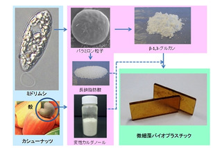 産総研・NEC・宮崎大、ミドリムシを主原料とするバイオプラスチックを開発 画像