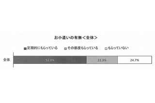 高校生の消費生活と生活設計　アンケート調査 画像