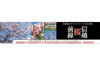 ＠NetHome、信越地区の花見どころをライブ中継する「信越桜前線」 画像