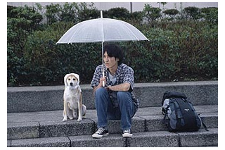 ShowTime、GW映画「犬と歩けば‐チロリとタムラ」のBB試写会を開催〜〆切は4/16 画像
