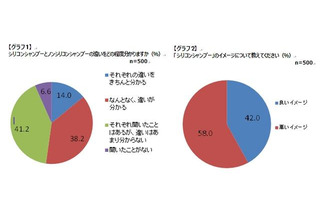 「ノンシリコンシャンプー」と「シリコンシャンプー」…シャンプーに関する意識調査 画像