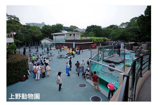 上野動物園など4園、障害をもつ子どもとその家族を閉園後に招待　6月8日 画像