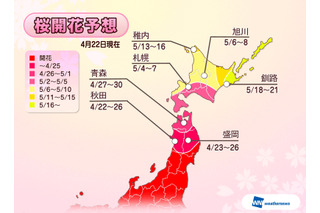 【GW】今週より東北北部で桜が開花、ゴールデンウィークがピーク 画像