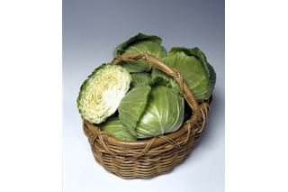 【父の日】オススメの“野菜たっぷりレシピ”……タキイ種苗 画像