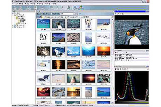 新潟キヤノテック、デジタルカメラ向け高速画像管理ソフトを発売 画像