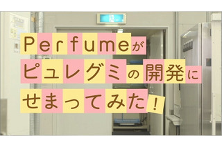 Perfumeが潜入！ 限定ピュレグミ「フルーツティー味」開発現場をレポ 画像