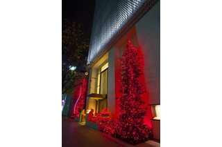【クリスマス】資生堂、2年振りのイルミネーション……赤いクリスマスツリー点灯 画像