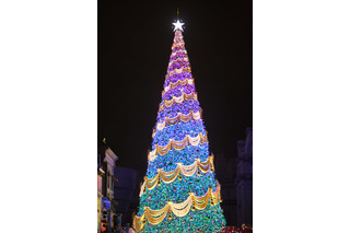 USJ、世界一のクリスマスツリー点灯 画像