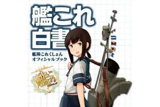 「艦これ白書」正誤表、PDFは約1.1M　第1弾 画像